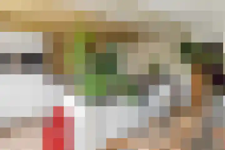 Achter de Hoven 25 Wijhe thumbnail 7
