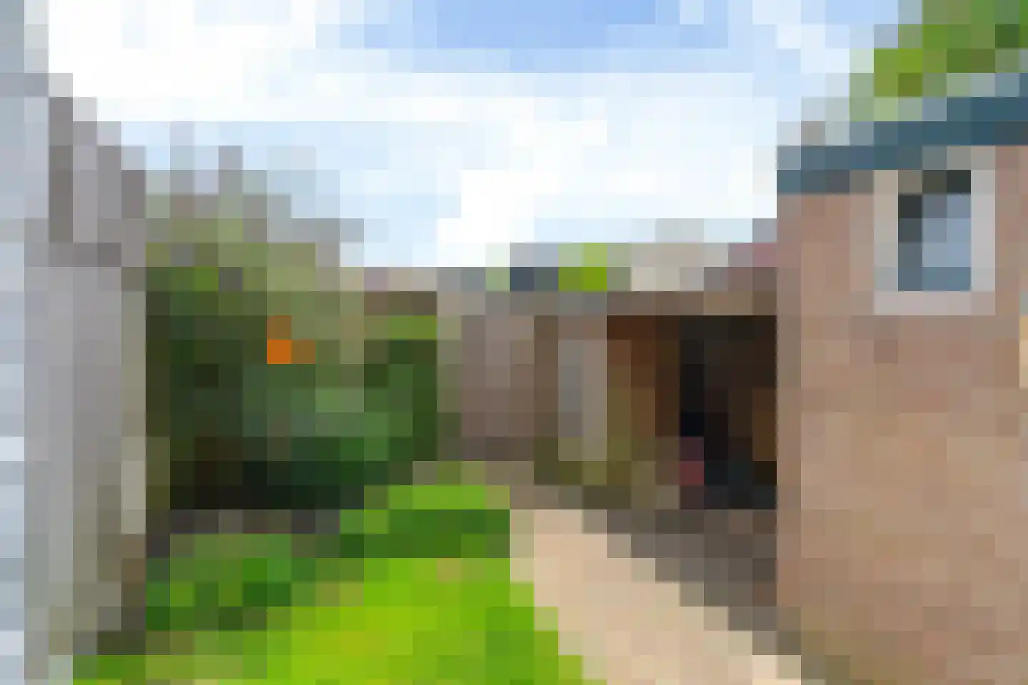 Achter de Hoven 258 Leeuwarden thumbnail 23