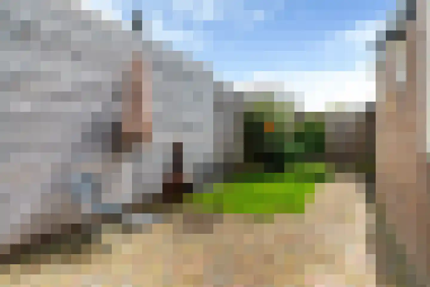 Achter de Hoven 258 Leeuwarden thumbnail 27
