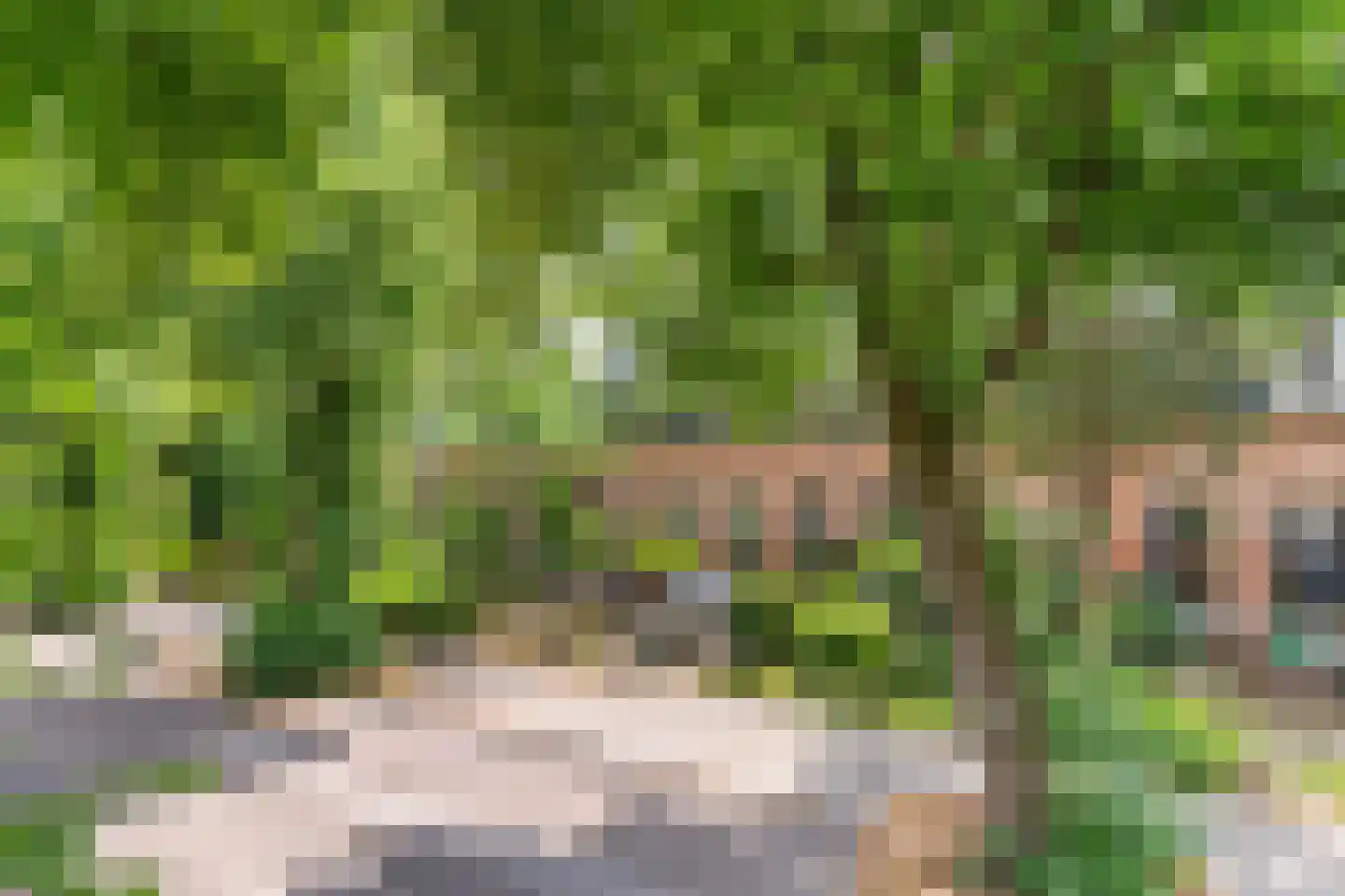 Achter de Hoven 258 Leeuwarden thumbnail 30