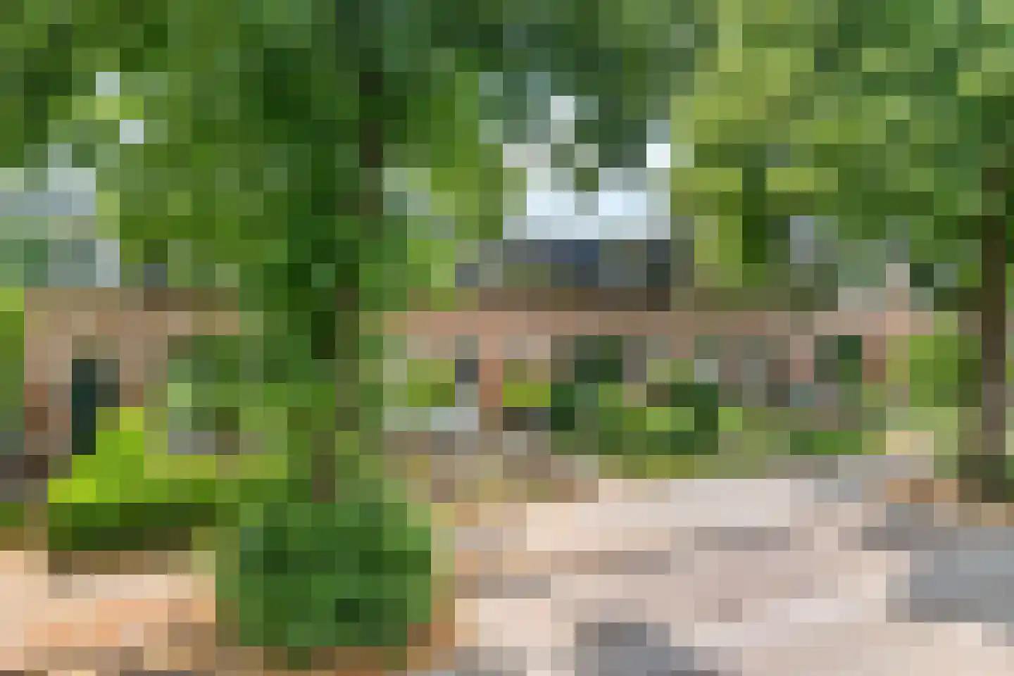 Achter de Hoven 258 Leeuwarden thumbnail 33