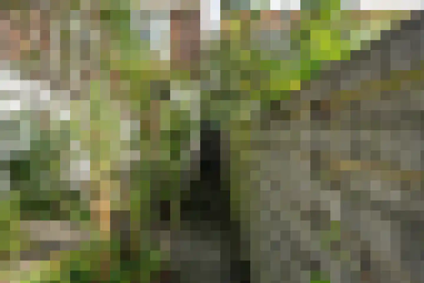 Achter de Hoven 259 Leeuwarden thumbnail 25