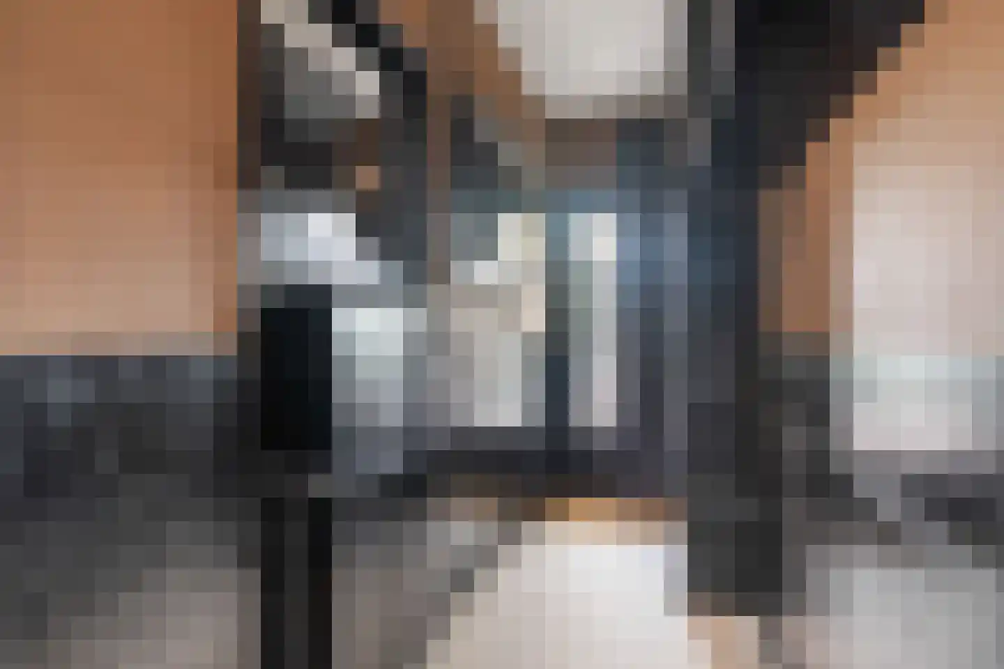 Achter de Hoven 259 Leeuwarden thumbnail 39