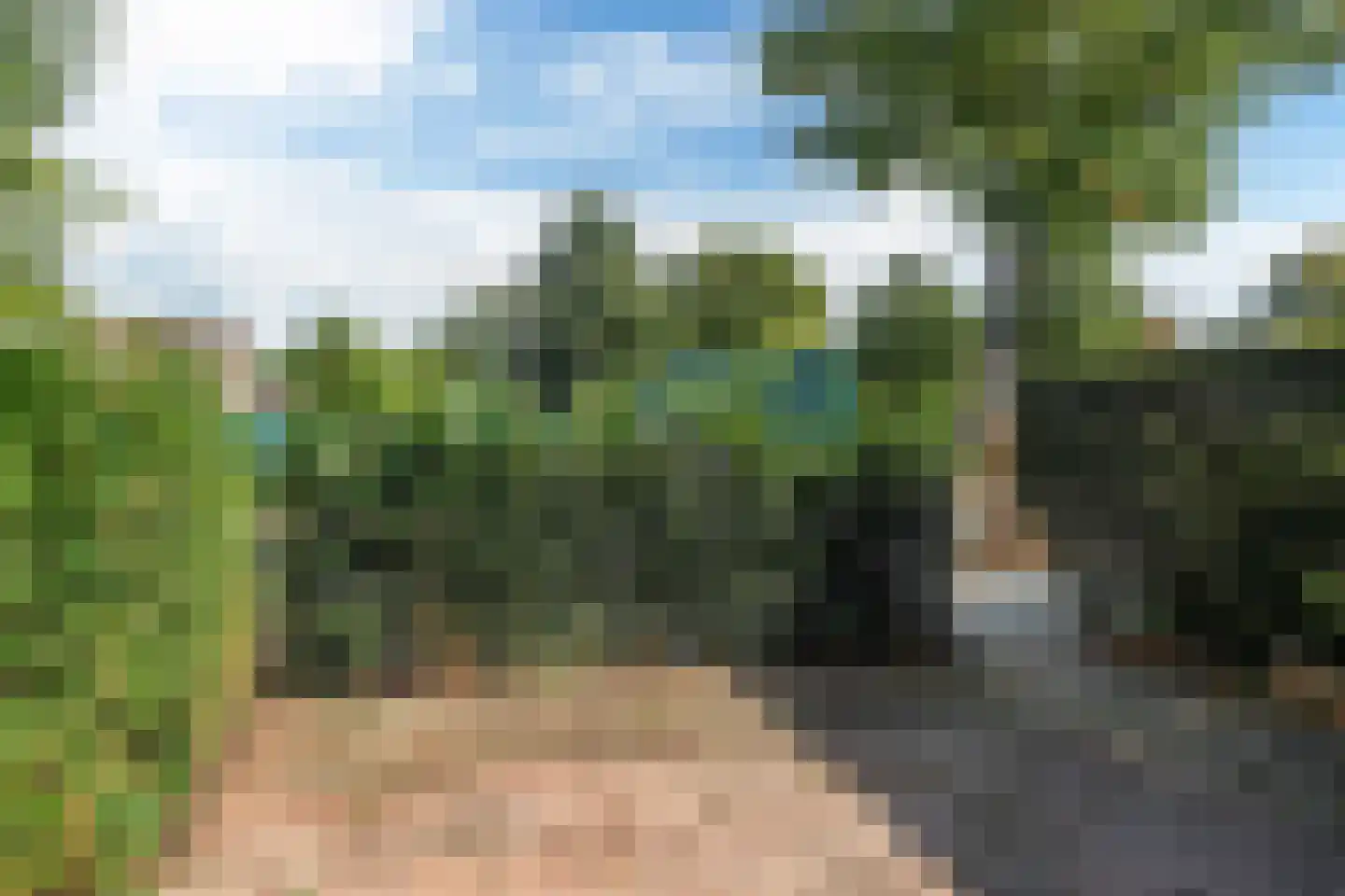 Achter de Hoven 259 Leeuwarden thumbnail 40