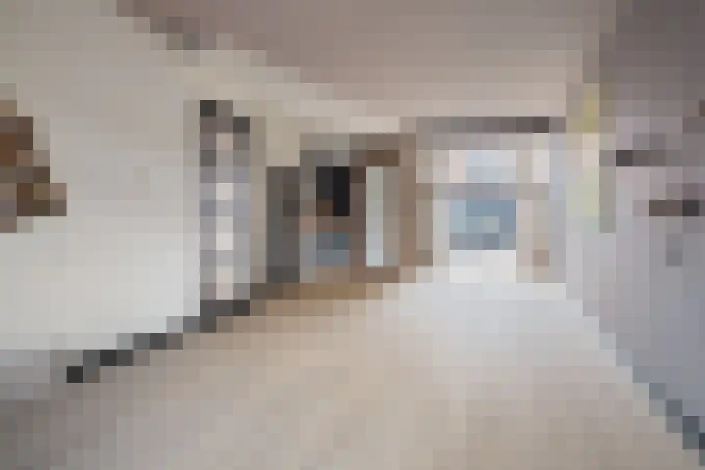 Achter de Hoven 259 Leeuwarden thumbnail 9