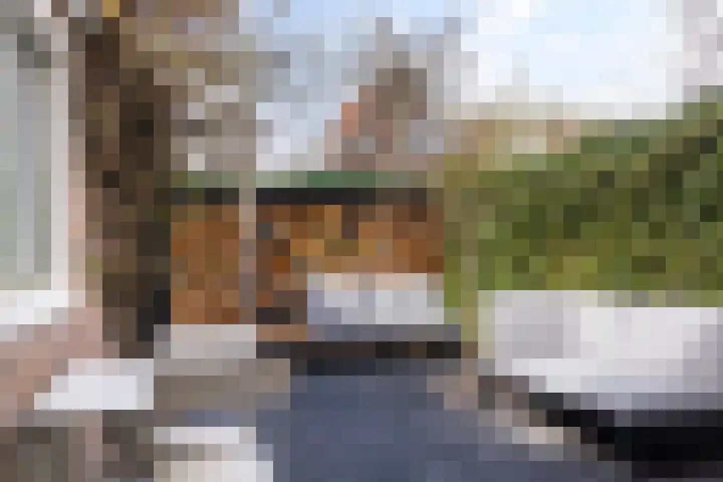 Achter de Hoven 269 Leeuwarden thumbnail 24
