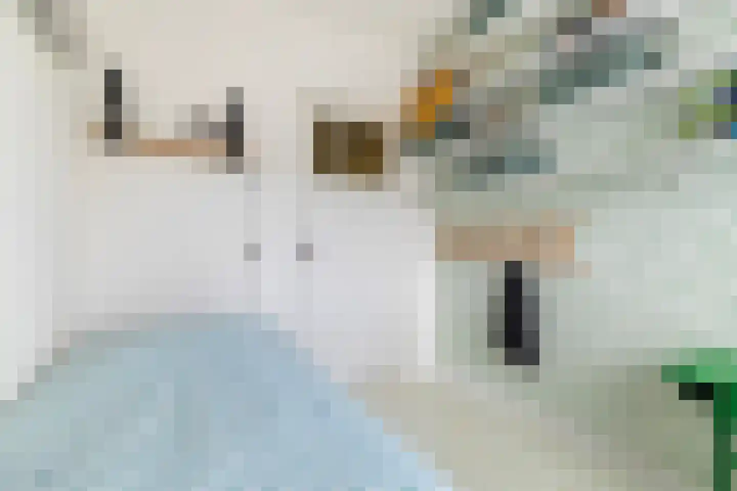 Achter de Hoven 269 Leeuwarden thumbnail 33