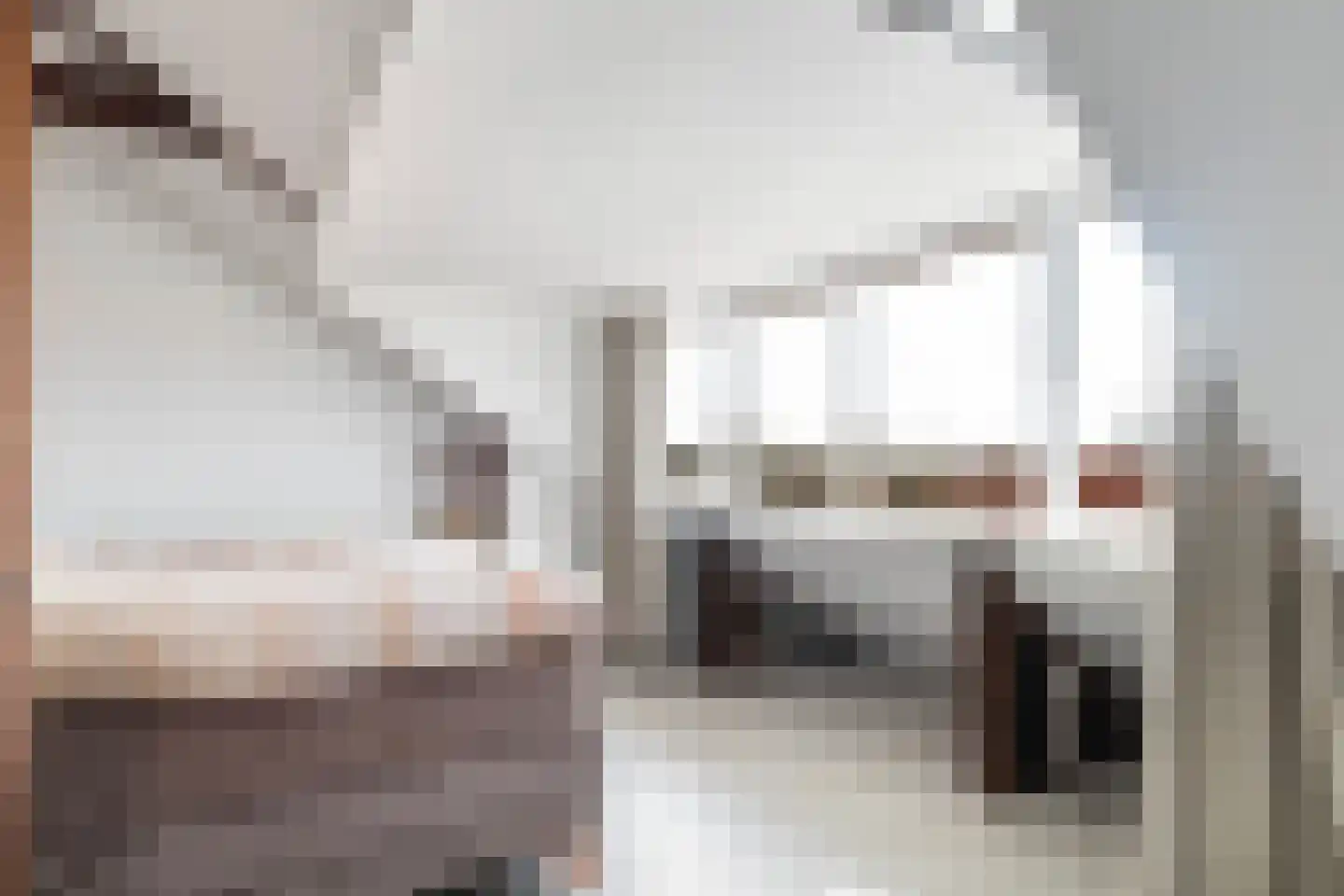 Achter de Hoven 269 Leeuwarden thumbnail 38