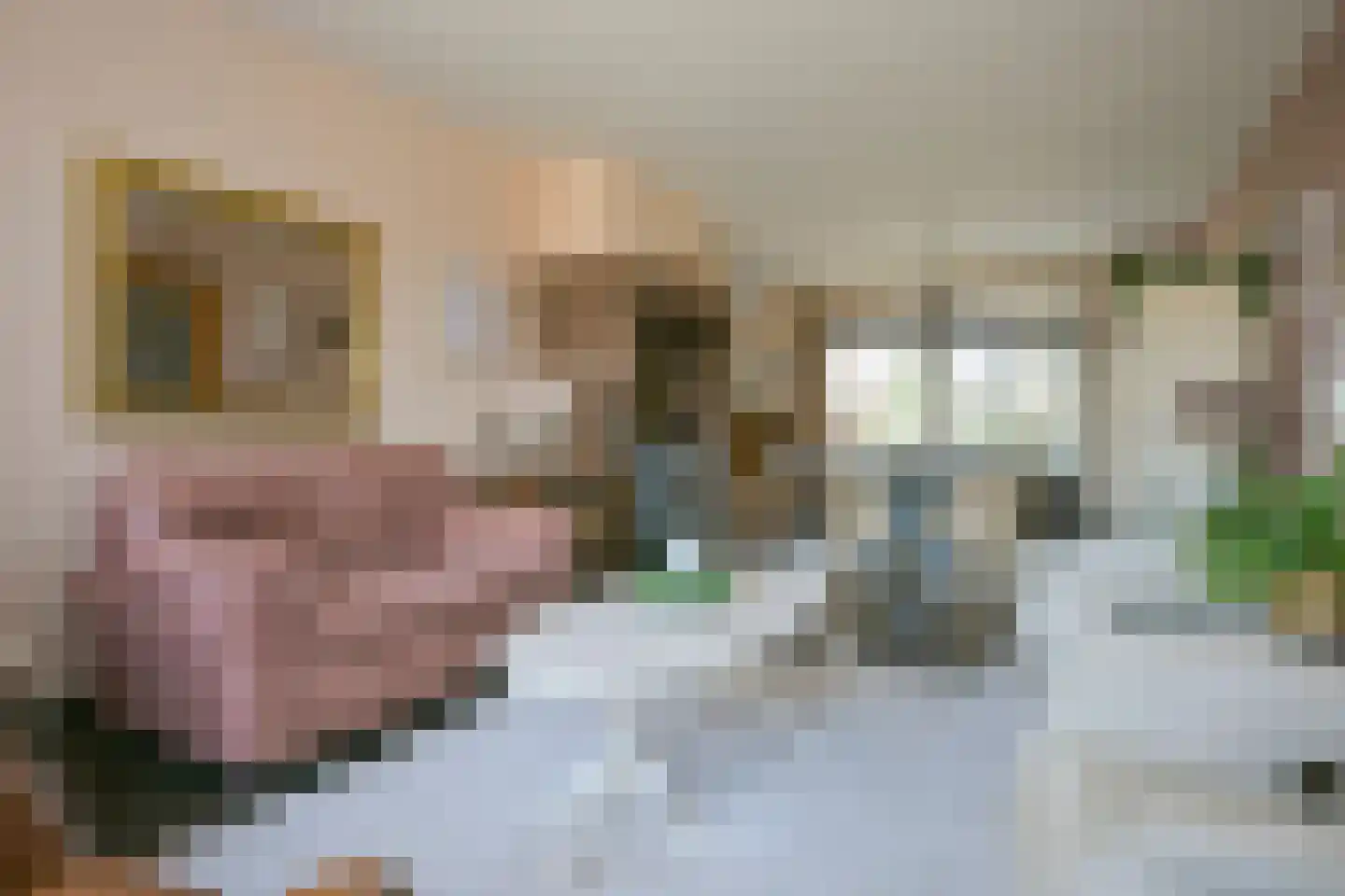 Achter de Hoven 27 Buchten thumbnail 13