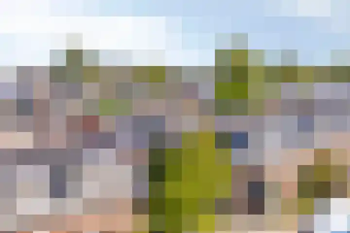 Achter de Hoven 28 c Leeuwarden thumbnail 20