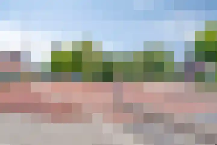 Achter de Hoven 28 c Leeuwarden thumbnail 35