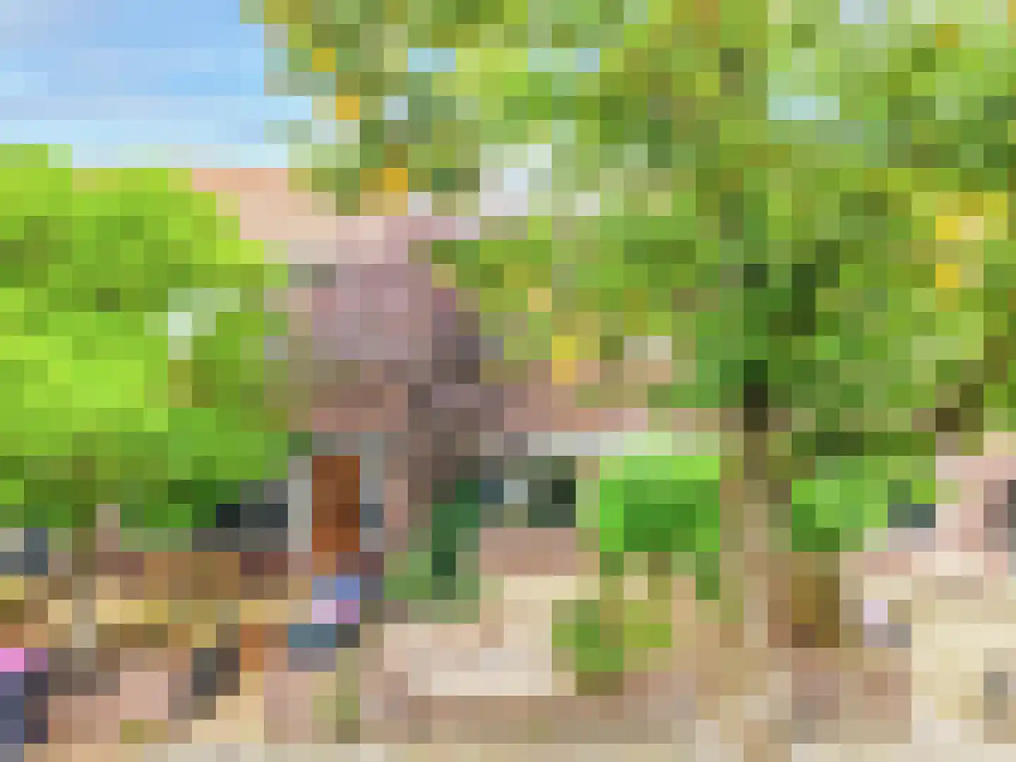 Achter de Hoven 291 Leeuwarden thumbnail 10
