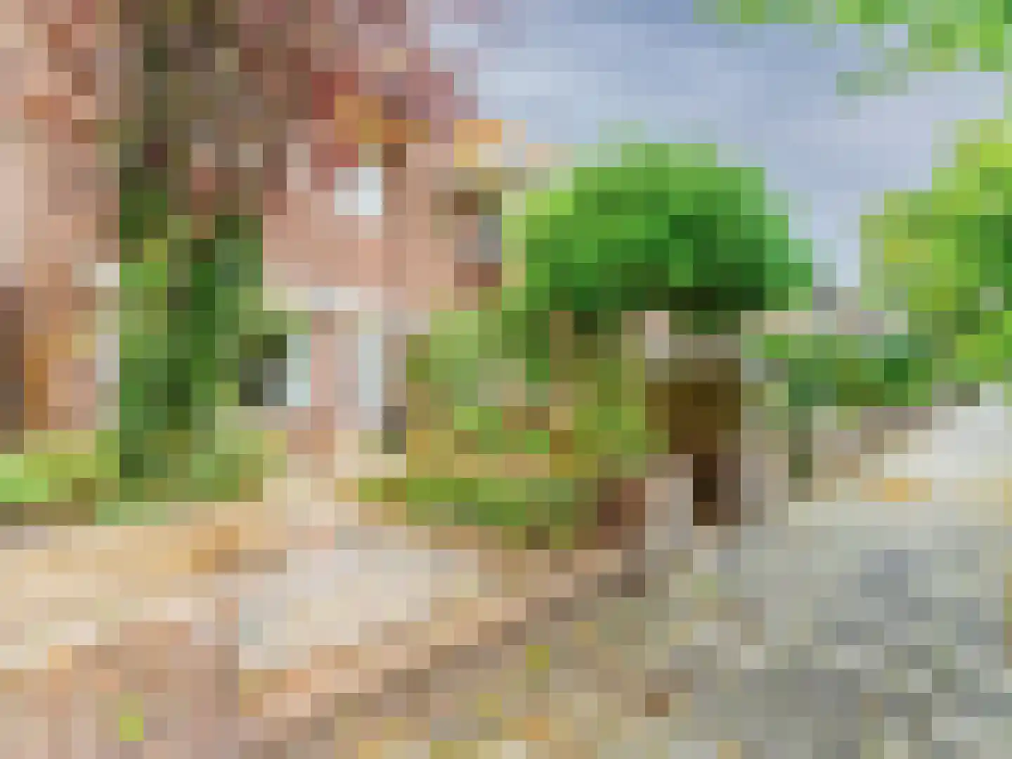 Achter de Hoven 291 Leeuwarden thumbnail 12