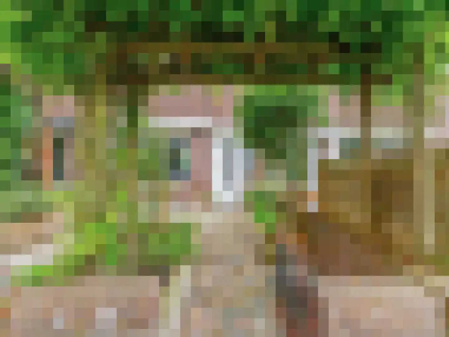 Achter de Hoven 291 Leeuwarden thumbnail 13
