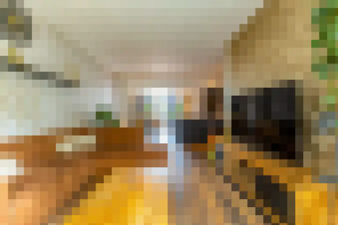 Achter de Hoven 291 Leeuwarden thumbnail 19