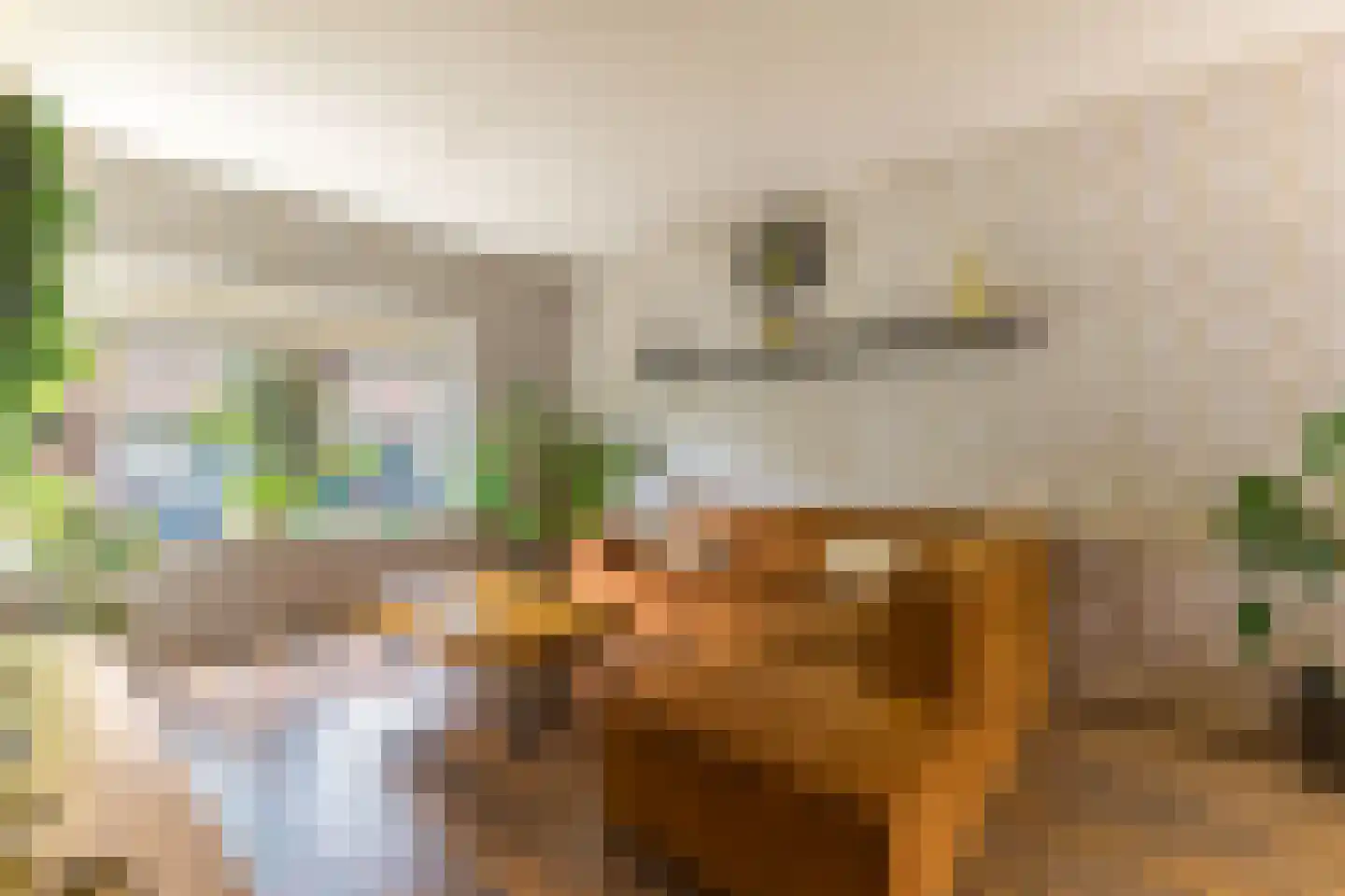 Achter de Hoven 291 Leeuwarden thumbnail 20