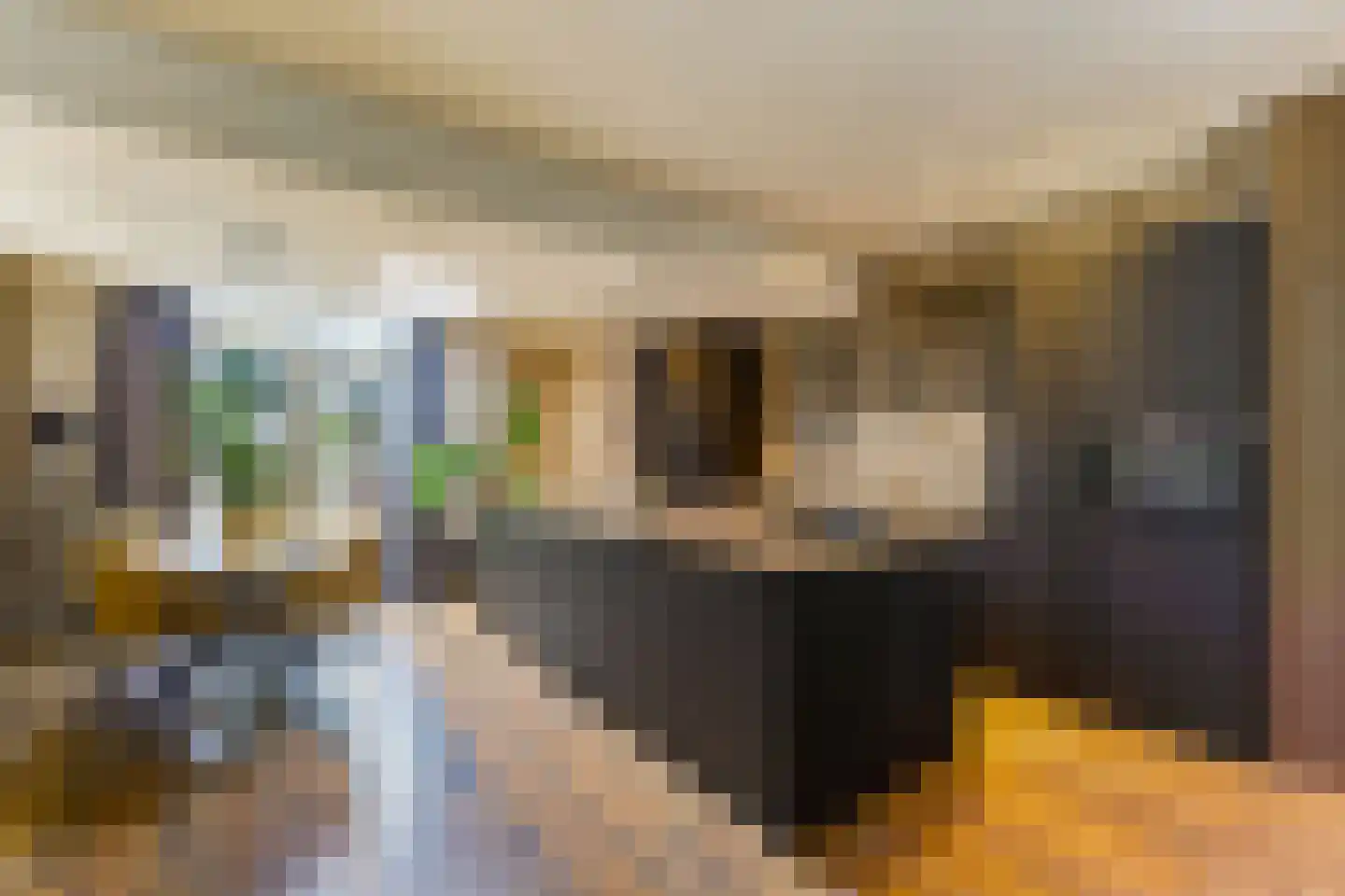 Achter de Hoven 291 Leeuwarden thumbnail 21