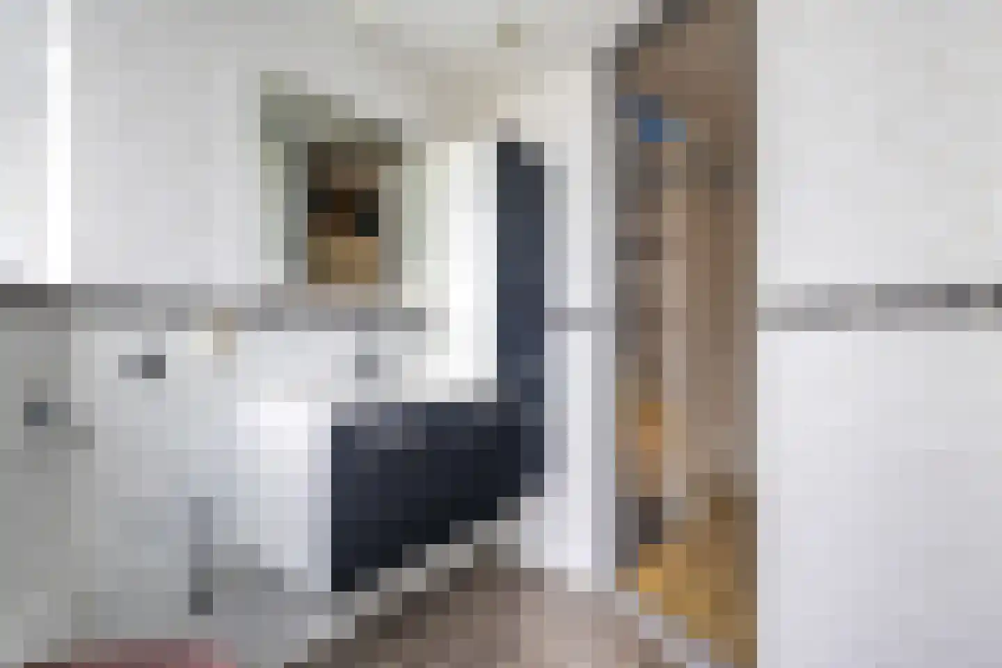 Achter de Hoven 291 Leeuwarden thumbnail 31