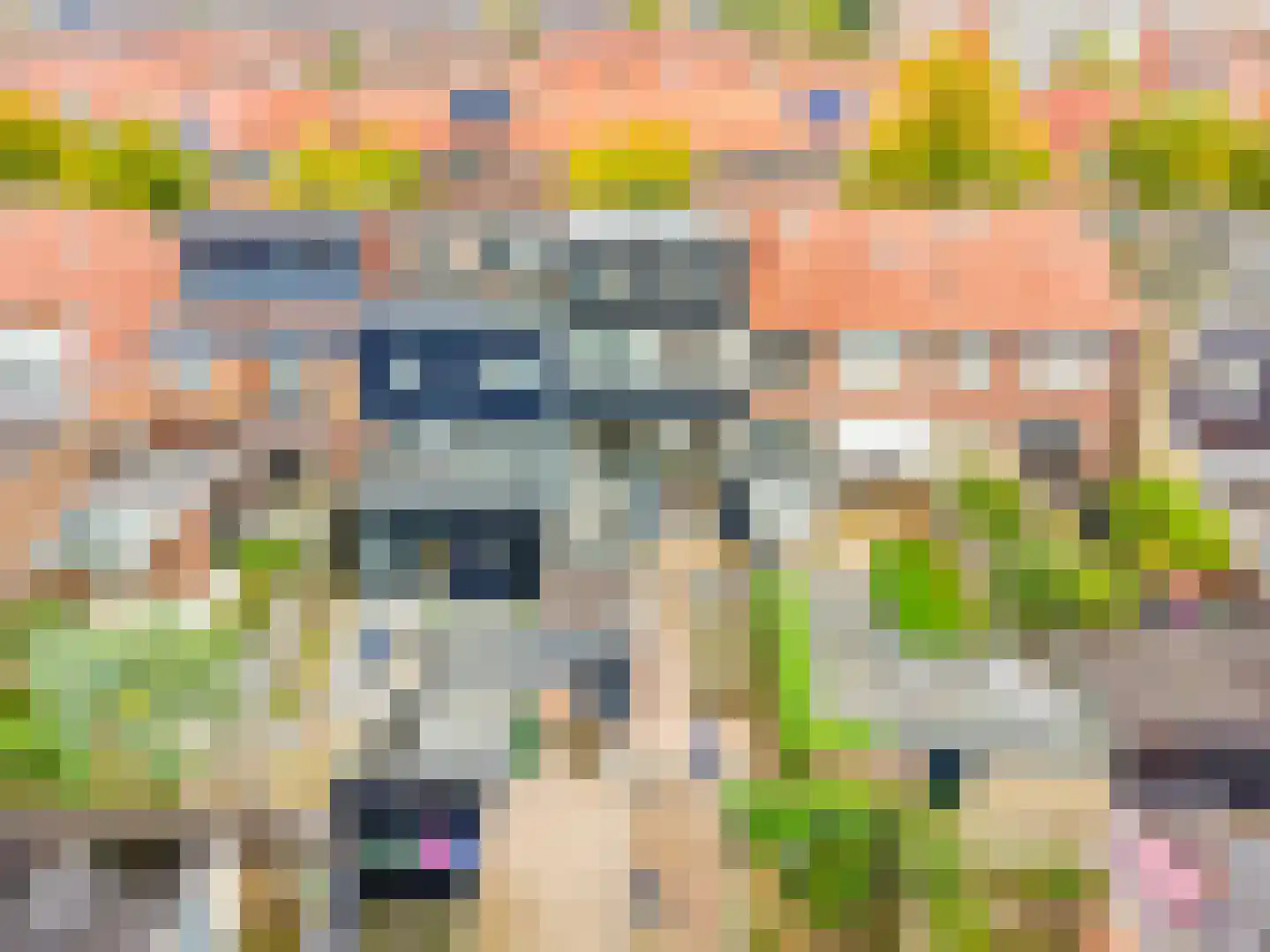 Achter de Hoven 291 Leeuwarden thumbnail 44