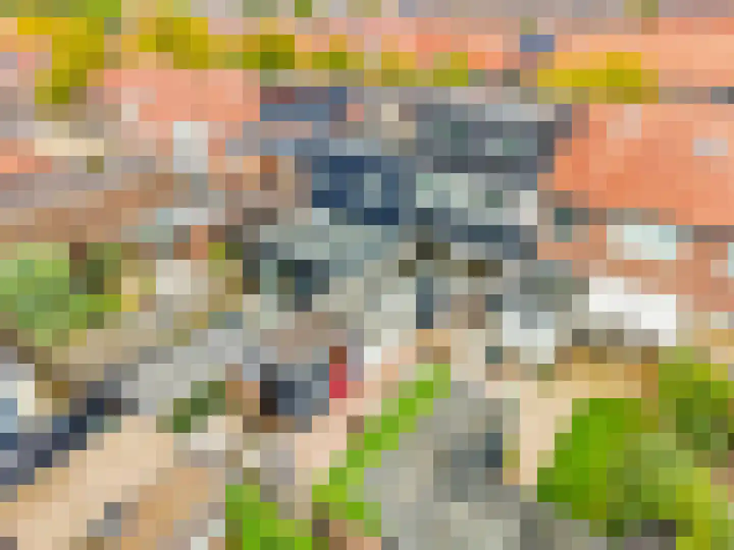 Achter de Hoven 291 Leeuwarden thumbnail 45