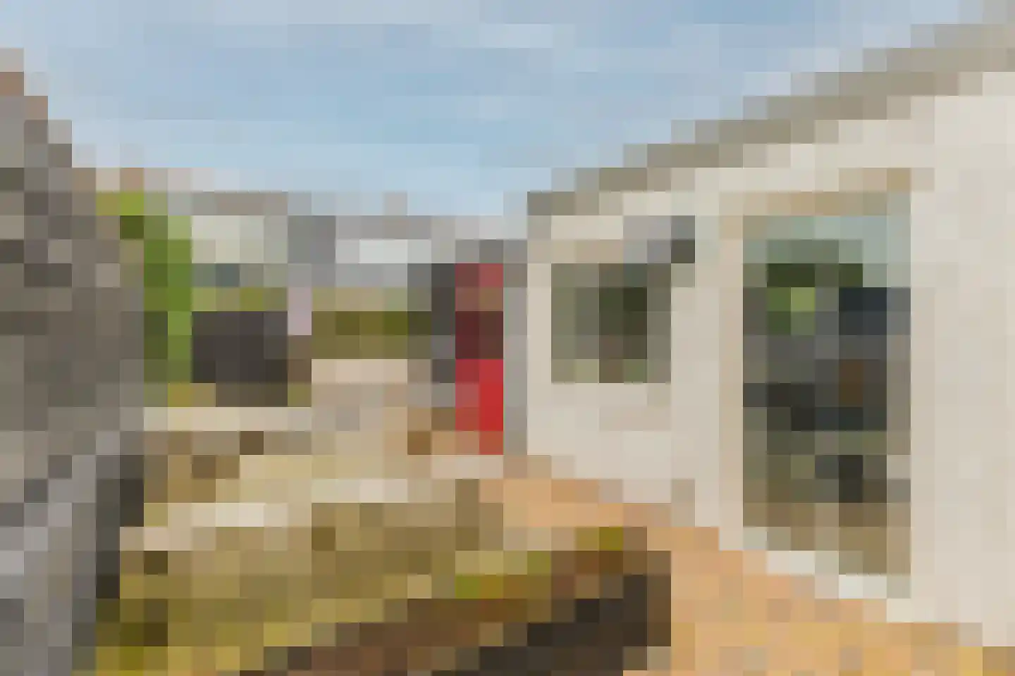 Achter de Hoven 291 Leeuwarden thumbnail 7