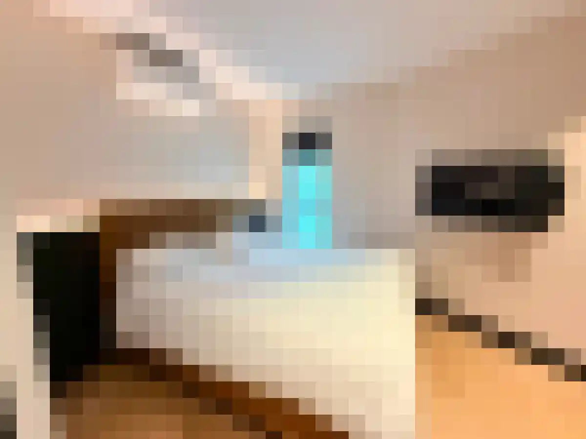 Achter de Hoven 3 Leeuwarden thumbnail 5