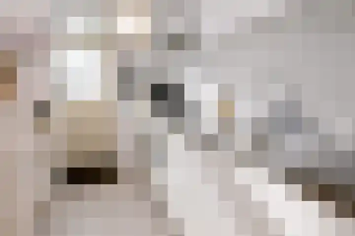 Achter de Hoven 31 Deventer thumbnail 12