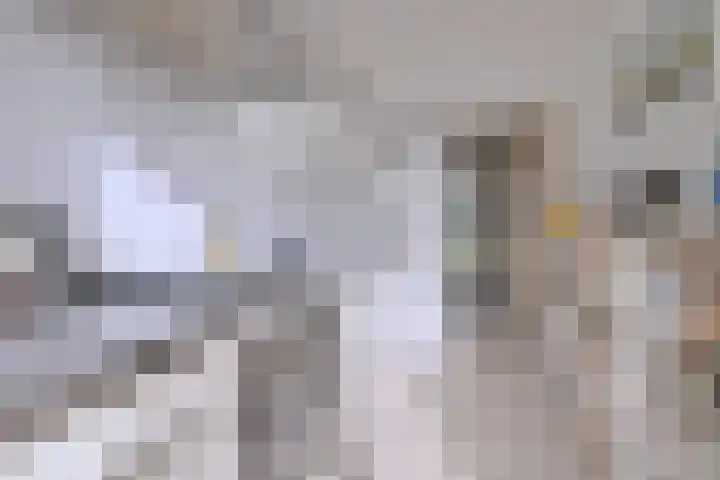 Achter de Hoven 31 Deventer thumbnail 13