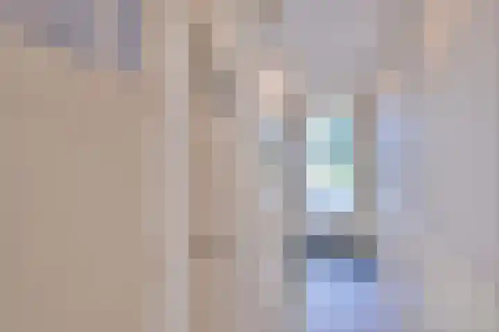 Achter de Hoven 31 Deventer thumbnail 14