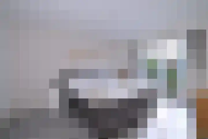 Achter de Hoven 31 Deventer thumbnail 18