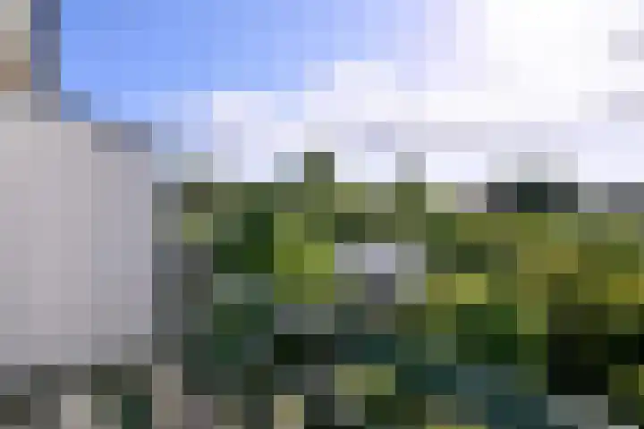 Achter de Hoven 31 Deventer thumbnail 19