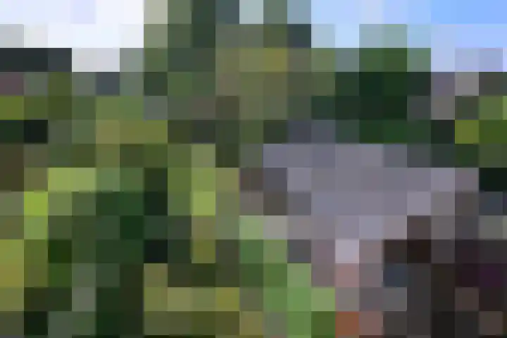 Achter de Hoven 31 Deventer thumbnail 20