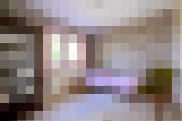Achter de Hoven 31 Deventer thumbnail 25
