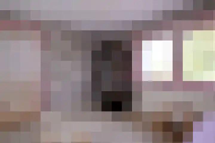 Achter de Hoven 31 Deventer thumbnail 26