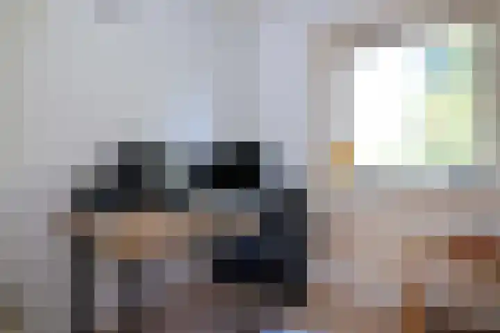 Achter de Hoven 31 Deventer thumbnail 27