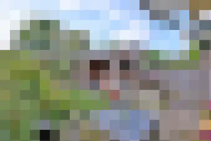 Achter de Hoven 31 Deventer thumbnail 35