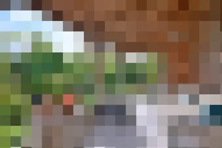 Achter de Hoven 31 Deventer thumbnail 36