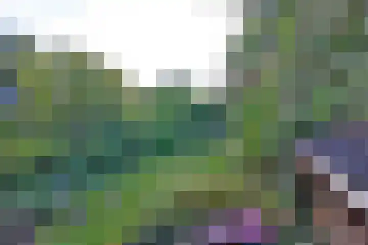 Achter de Hoven 31 Deventer thumbnail 37