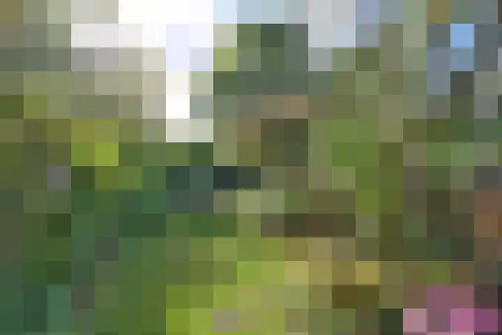 Achter de Hoven 31 Deventer thumbnail 38