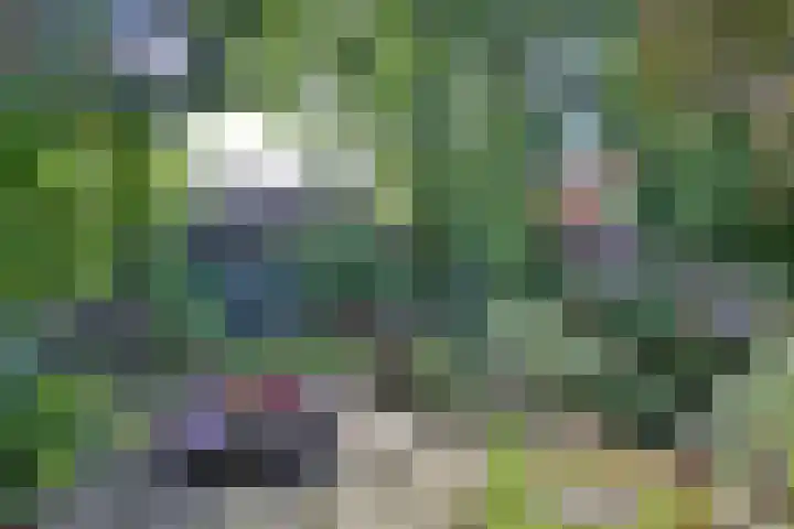 Achter de Hoven 31 Deventer thumbnail 39