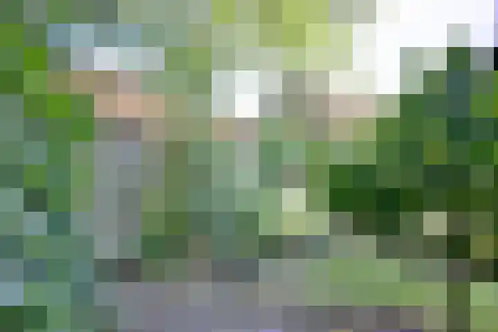 Achter de Hoven 31 Deventer thumbnail 40