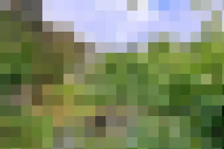 Achter de Hoven 31 Deventer thumbnail 41