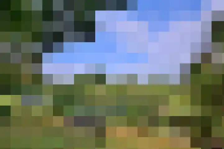 Achter de Hoven 31 Deventer thumbnail 42