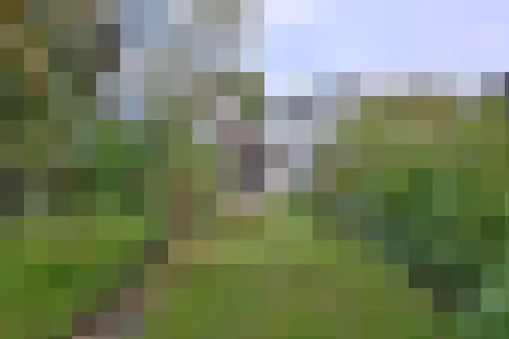 Achter de Hoven 31 Deventer thumbnail 43