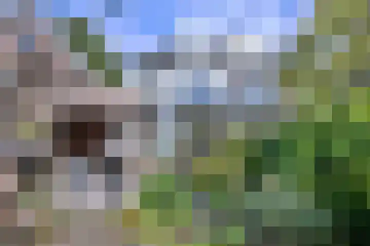 Achter de Hoven 31 Deventer thumbnail 44