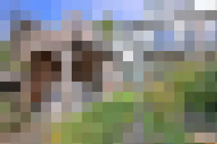 Achter de Hoven 31 Deventer thumbnail 45