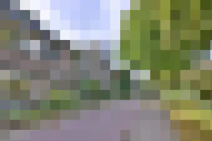 Achter de Hoven 31 Deventer thumbnail 48