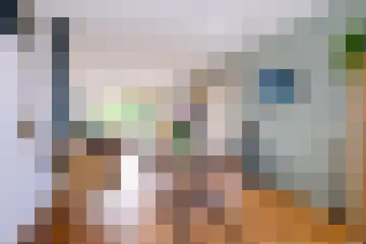 Achter de Hoven 31 Deventer thumbnail 8