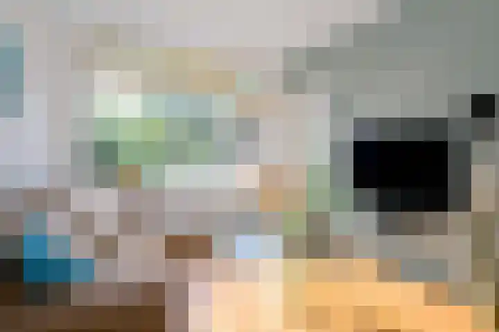 Achter de Hoven 31 Deventer thumbnail 9