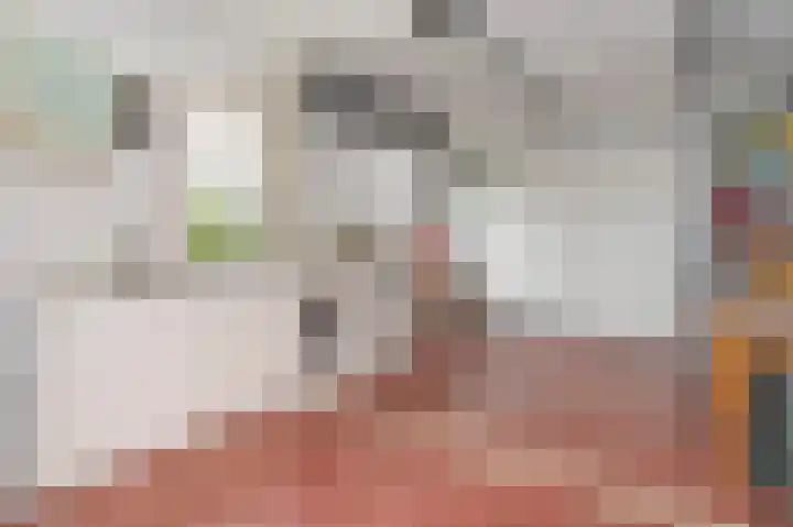 Achter de Hoven 33 Buchten thumbnail 36